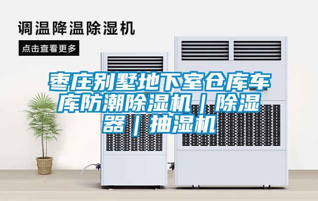 棗莊別墅地下室倉庫車庫防潮91看片在线下载機｜91看片在线下载器｜抽濕機