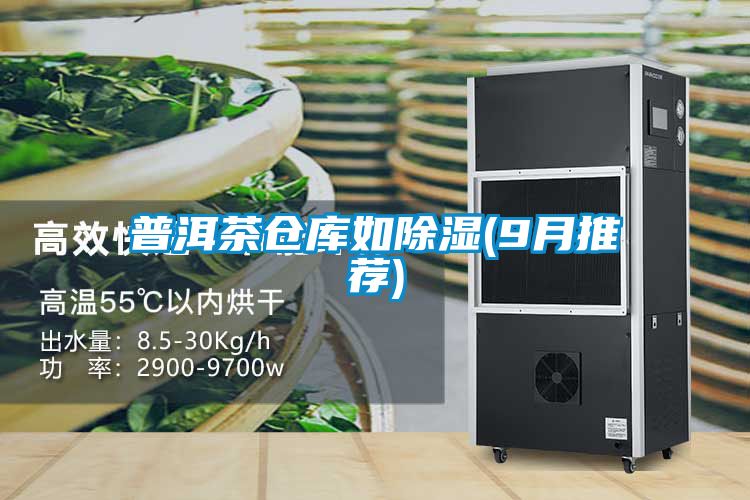 普洱茶倉庫如91看片在线下载(9月推薦)
