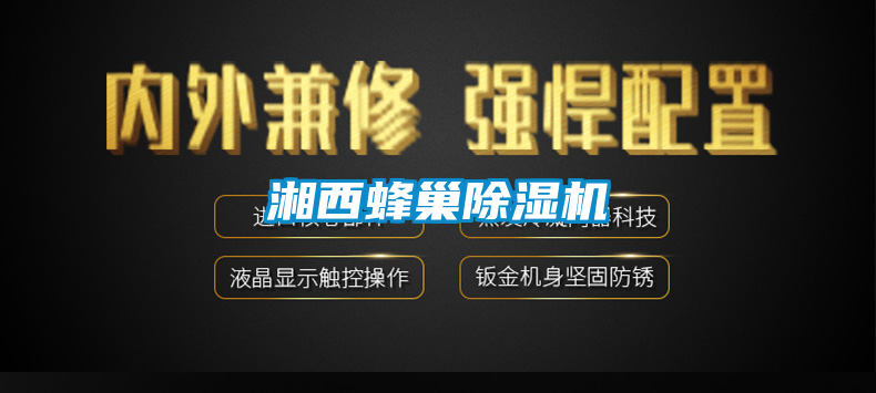 湘西蜂巢91看片在线下载機