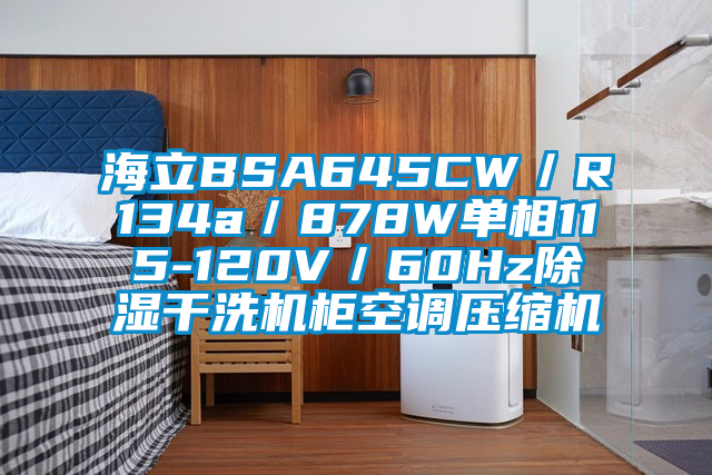 海立BSA645CW／R134a／878W單相115-120V／60Hz91看片在线下载幹洗機櫃空調壓縮機