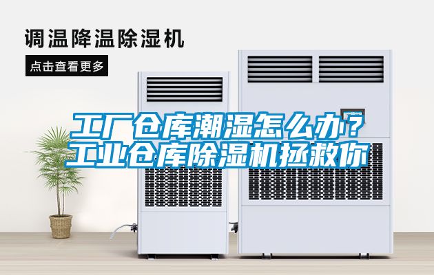 工廠倉庫潮濕怎麽辦？工業倉庫91看片在线下载機拯救你