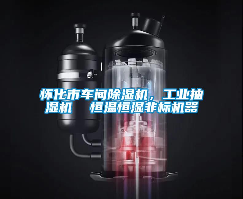 懷化市車間91看片在线下载機，工業抽濕機  恒溫恒濕非標機器
