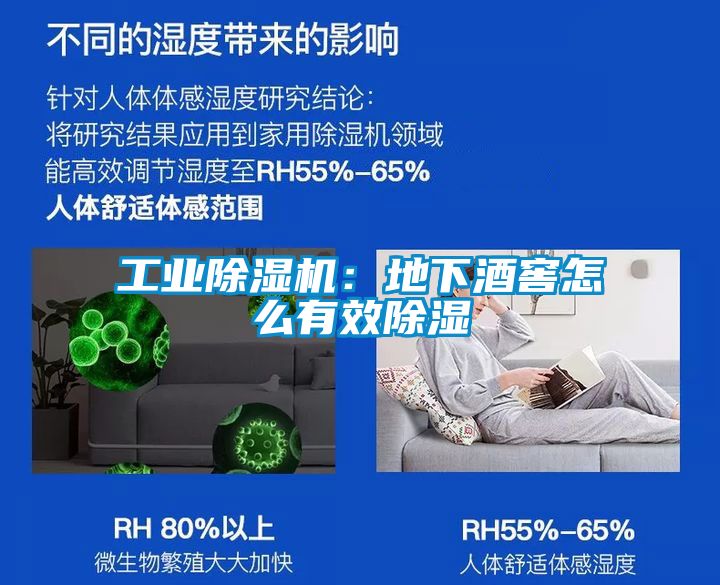 工業91看片在线下载機：地下酒窖怎麽有效91看片在线下载