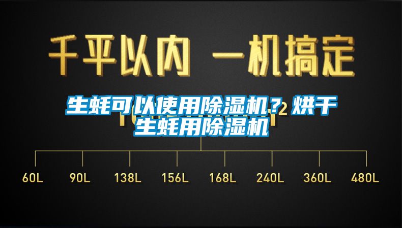 生蠔可以使用91看片在线下载機？烘幹生蠔用91看片在线下载機