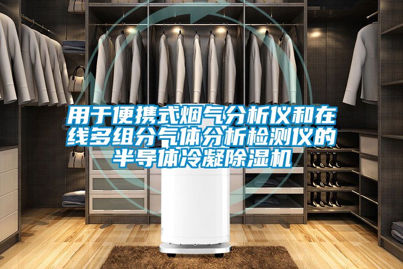 用於便攜式煙氣分析儀和在線多組分氣體分析檢測儀的半導體冷凝91看片在线下载機