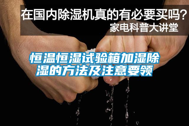 恒溫恒濕試驗箱加濕91看片在线下载的方法及注意要領