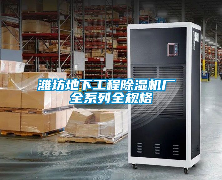 濰坊地下工程91看片在线下载機廠 全係列全規格