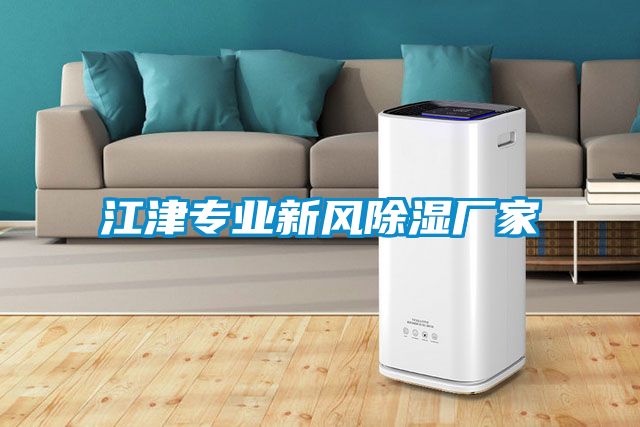 江津專業新風91看片在线下载廠家