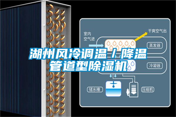 湖州風冷調溫／降溫管道型91看片在线下载機