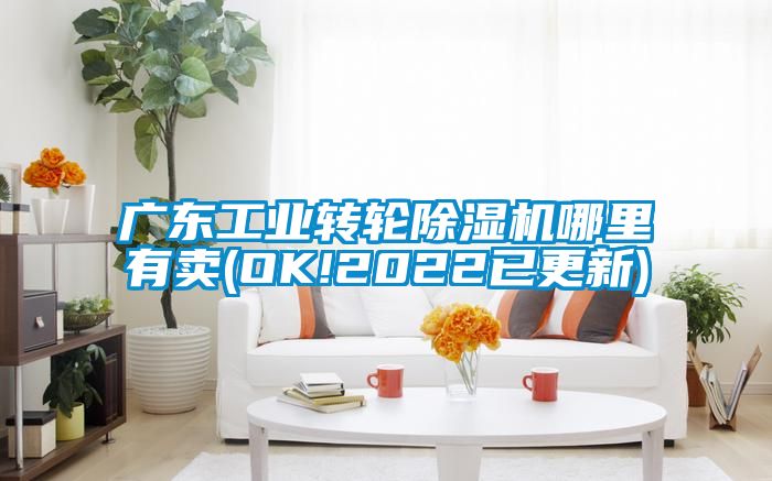 廣東工業轉輪91看片在线下载機哪裏有賣(OK!2022已更新)