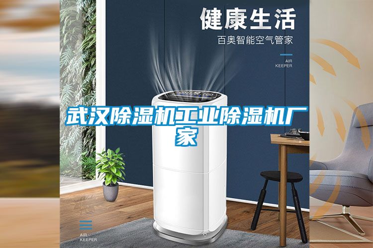 武漢91看片在线下载機工業91看片在线下载機廠家