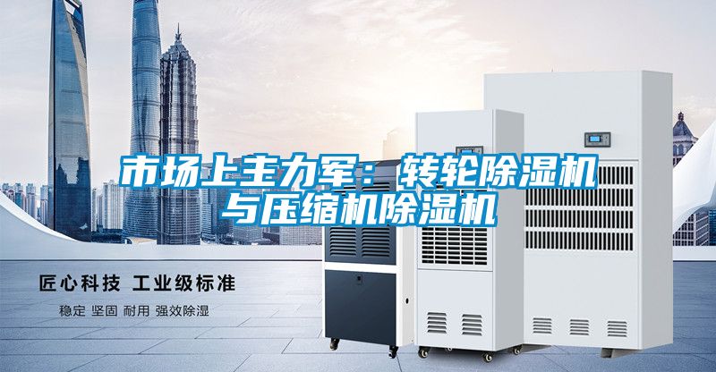 市場上主力軍：轉輪91看片在线下载機與壓縮機91看片在线下载機