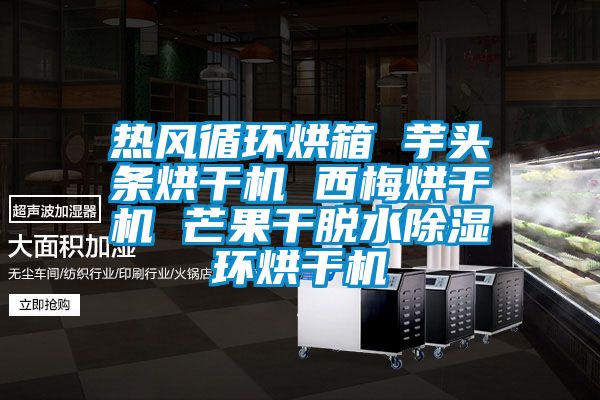 熱風循環烘箱 芋頭條烘幹機 西梅烘幹機 芒果幹脫水91看片在线下载環烘幹機