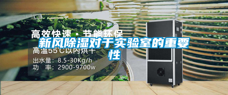 新風91看片在线下载對於實驗室的重要性