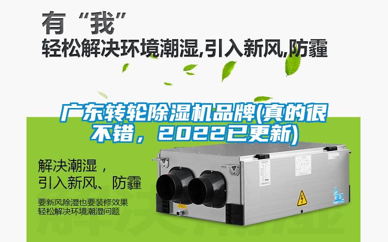 廣東轉輪91看片在线下载機品牌(真的很不錯，2022已更新)