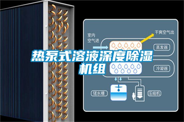 熱泵式溶液深度91看片在线下载機組