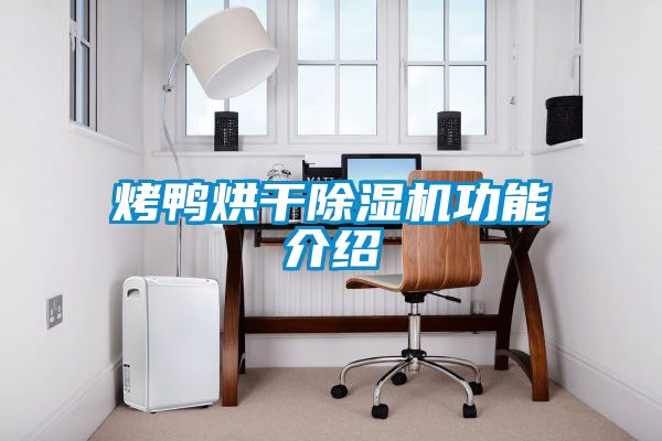 烤鴨烘幹91看片在线下载機功能介紹