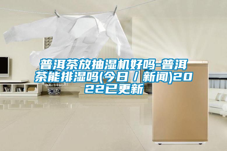 普洱茶放抽濕機好嗎-普洱茶能排濕嗎(今日／手机看片AV短片)2022已更新