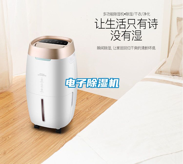 電子91看片在线下载機