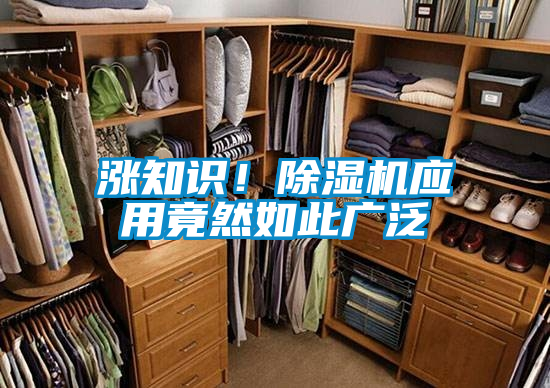 漲知識！91看片在线下载機應用竟然如此廣泛