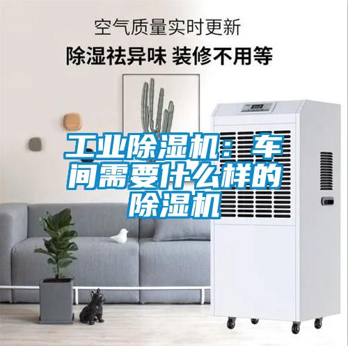工業91看片在线下载機：車間需要什麽樣的91看片在线下载機