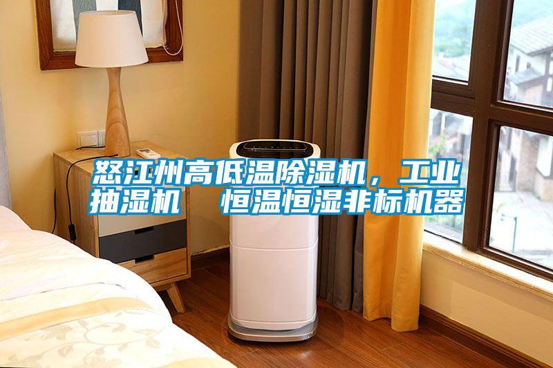 怒江州高低溫91看片在线下载機，工業抽濕機  恒溫恒濕非標機器