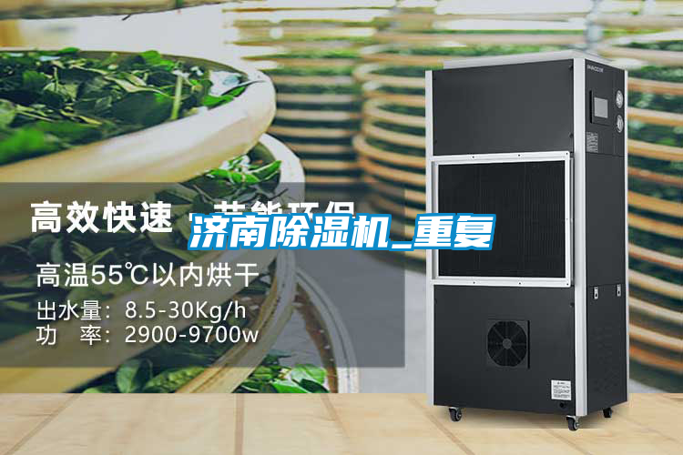 濟南91看片在线下载機_重複