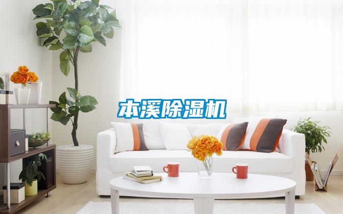 本溪91看片在线下载機