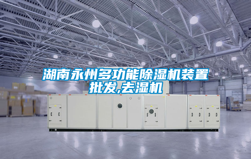 湖南永州多功能91看片在线下载機裝置批發,去濕機