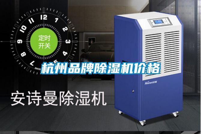 杭州品牌91看片在线下载機價格