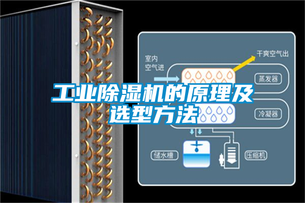 工業91看片在线下载機的原理及選型方法