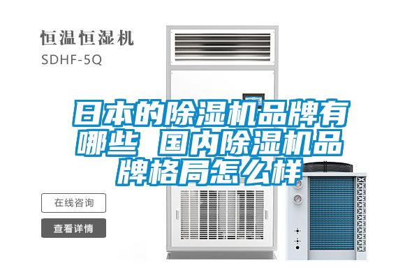 日本的91看片在线下载機品牌有哪些 國內91看片在线下载機品牌格局怎麽樣