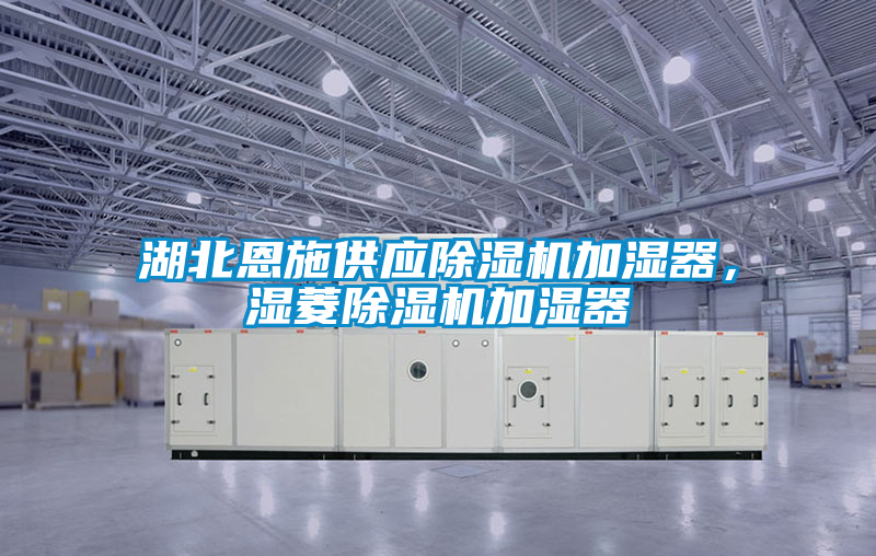 湖北恩施供應91看片在线下载機加濕器，濕菱91看片在线下载機加濕器