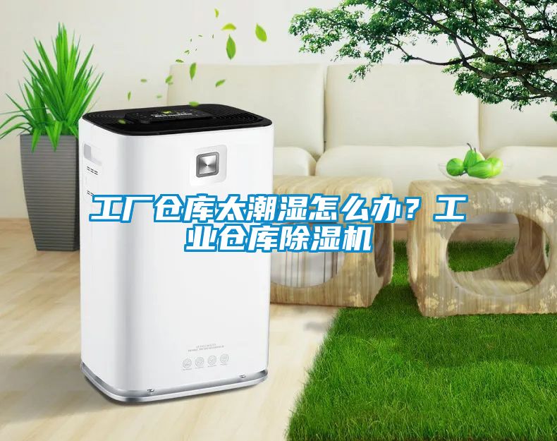 工廠倉庫太潮濕怎麽辦？工業倉庫91看片在线下载機