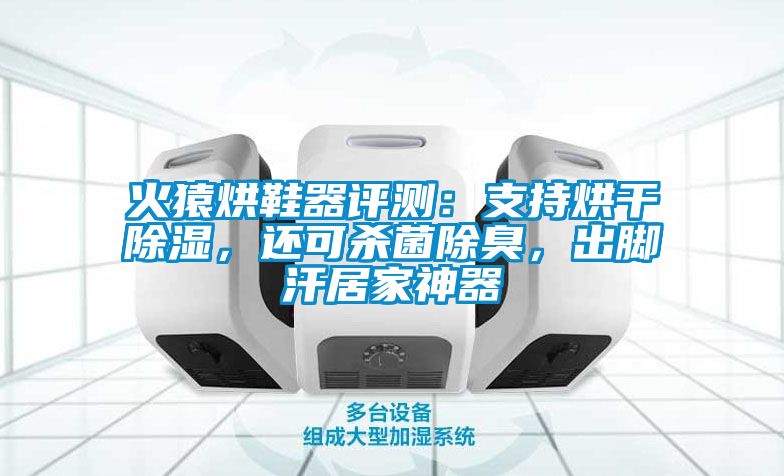火猿烘鞋器評測：支持烘幹91看片在线下载，還可殺菌除臭，出腳汗居家神器