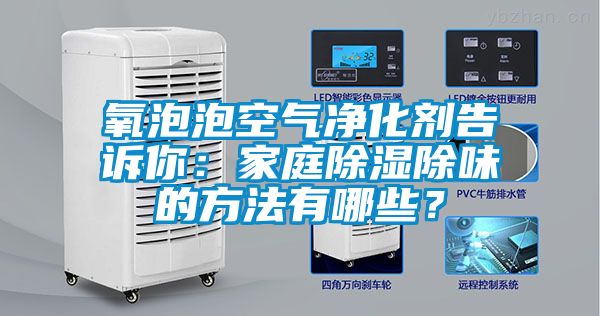 氧泡泡空氣淨化劑告訴你：家庭91看片在线下载除味的方法有哪些？