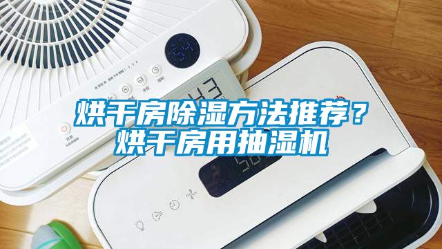烘幹房91看片在线下载方法推薦？烘幹房用抽濕機