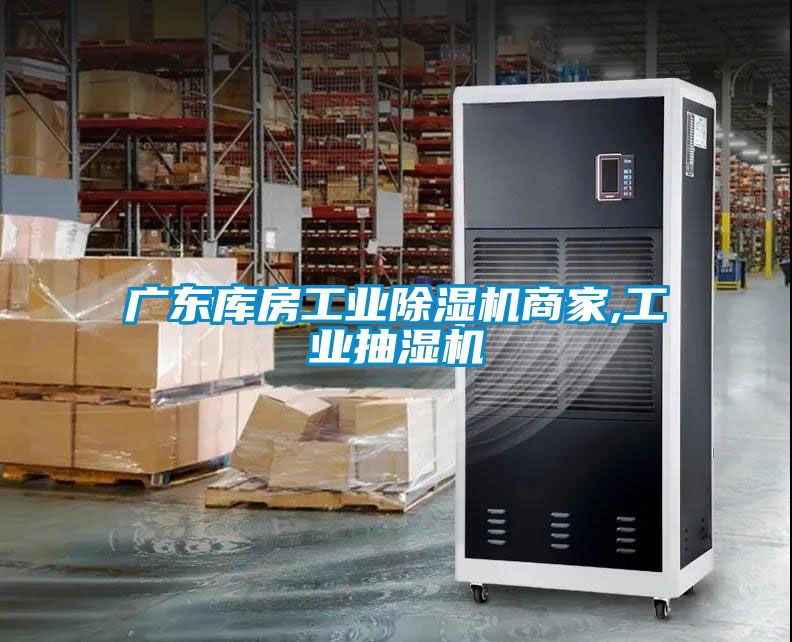 廣東庫房工業91看片在线下载機商家,工業抽濕機