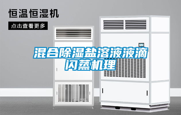 混合91看片在线下载鹽溶液液滴閃蒸機理
