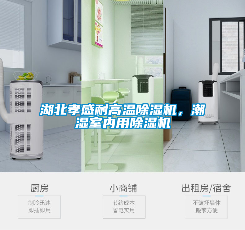 湖北孝感耐高溫91看片在线下载機，潮濕室內用91看片在线下载機