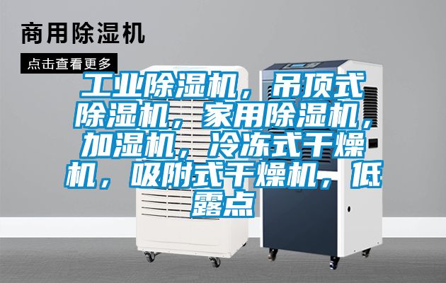 工業91看片在线下载機，吊頂式91看片在线下载機，家用91看片在线下载機，加濕機，冷凍式幹燥機，吸附式幹燥機，低露點