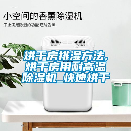 烘幹房排濕方法,烘幹房用耐高溫91看片在线下载機_快速烘幹