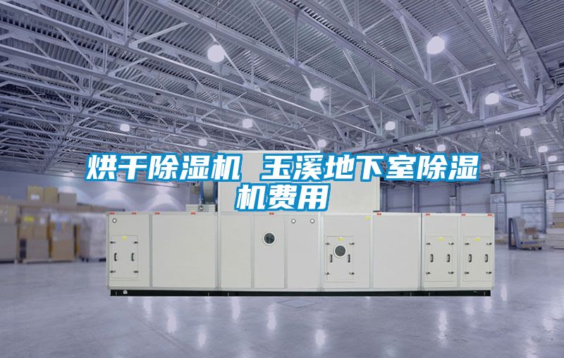 烘幹91看片在线下载機 玉溪地下室91看片在线下载機費用