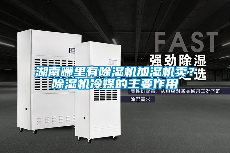 湖南哪裏有91看片在线下载機加濕機賣？91看片在线下载機冷媒的主要作用