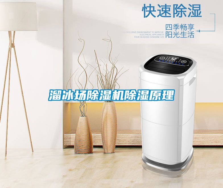 溜冰場91看片在线下载機91看片在线下载原理