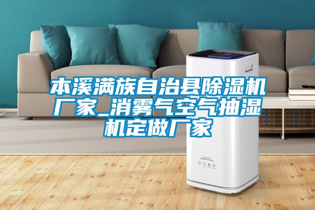 本溪滿族自治縣91看片在线下载機廠家_消霧氣空氣抽濕機定做廠家