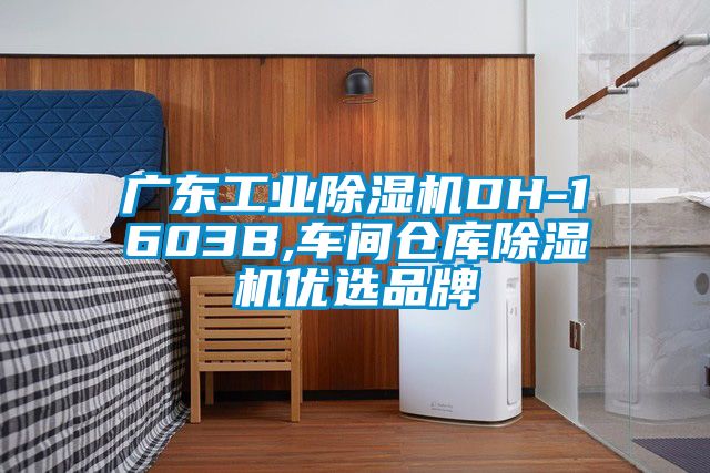 廣東工業91看片在线下载機DH-1603B,車間倉庫91看片在线下载機優選品牌