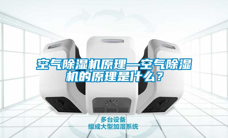 空氣91看片在线下载機原理—空氣91看片在线下载機的原理是什麽？