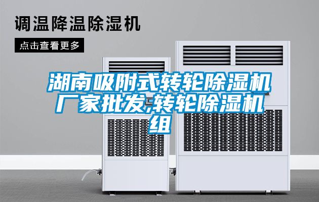 湖南吸附式轉輪91看片在线下载機廠家批發,轉輪91看片在线下载機組