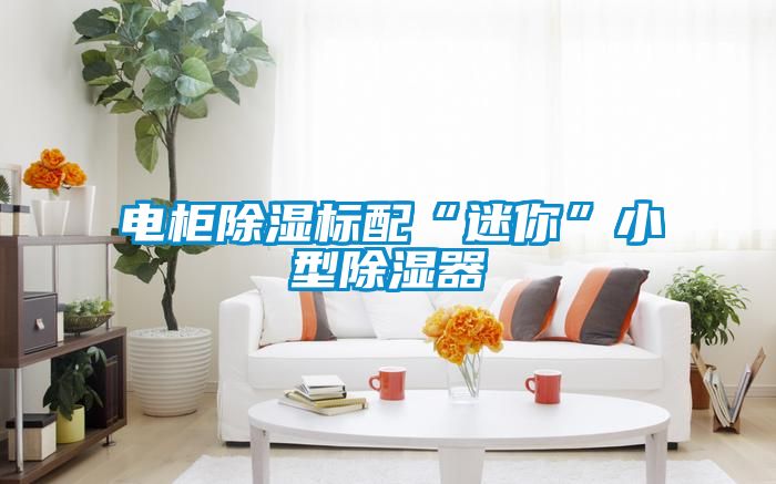 電櫃91看片在线下载標配“迷你”小型91看片在线下载器